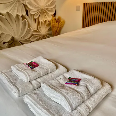 Le Pied A Terre - 2 Personnes - Lejlighed Tarbes
